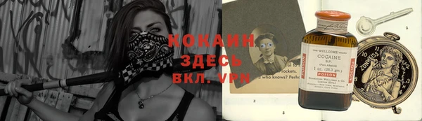 МДПВ Алексин