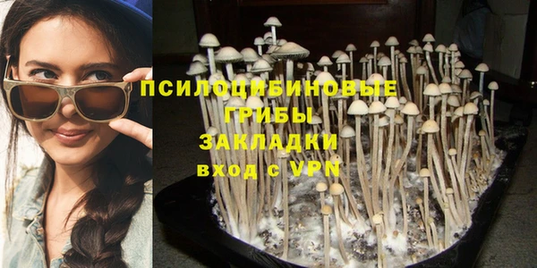 таблы Алзамай