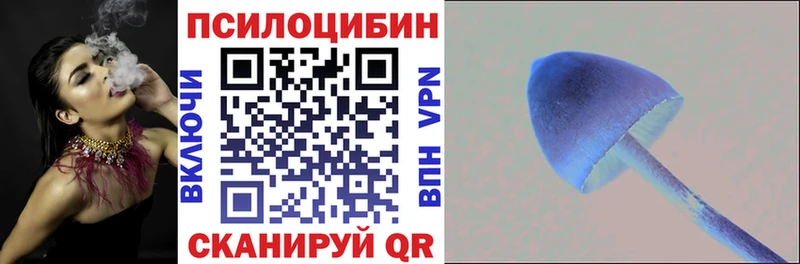 закладка ссылка на мегу ссылки Псилоцибиновые грибы ЛСД Заволжск